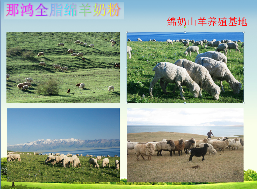 绵羊生长环境.png